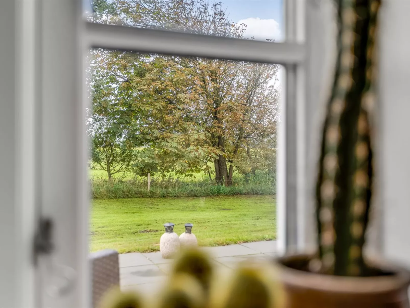 "Dolfine" - 15km from the sea