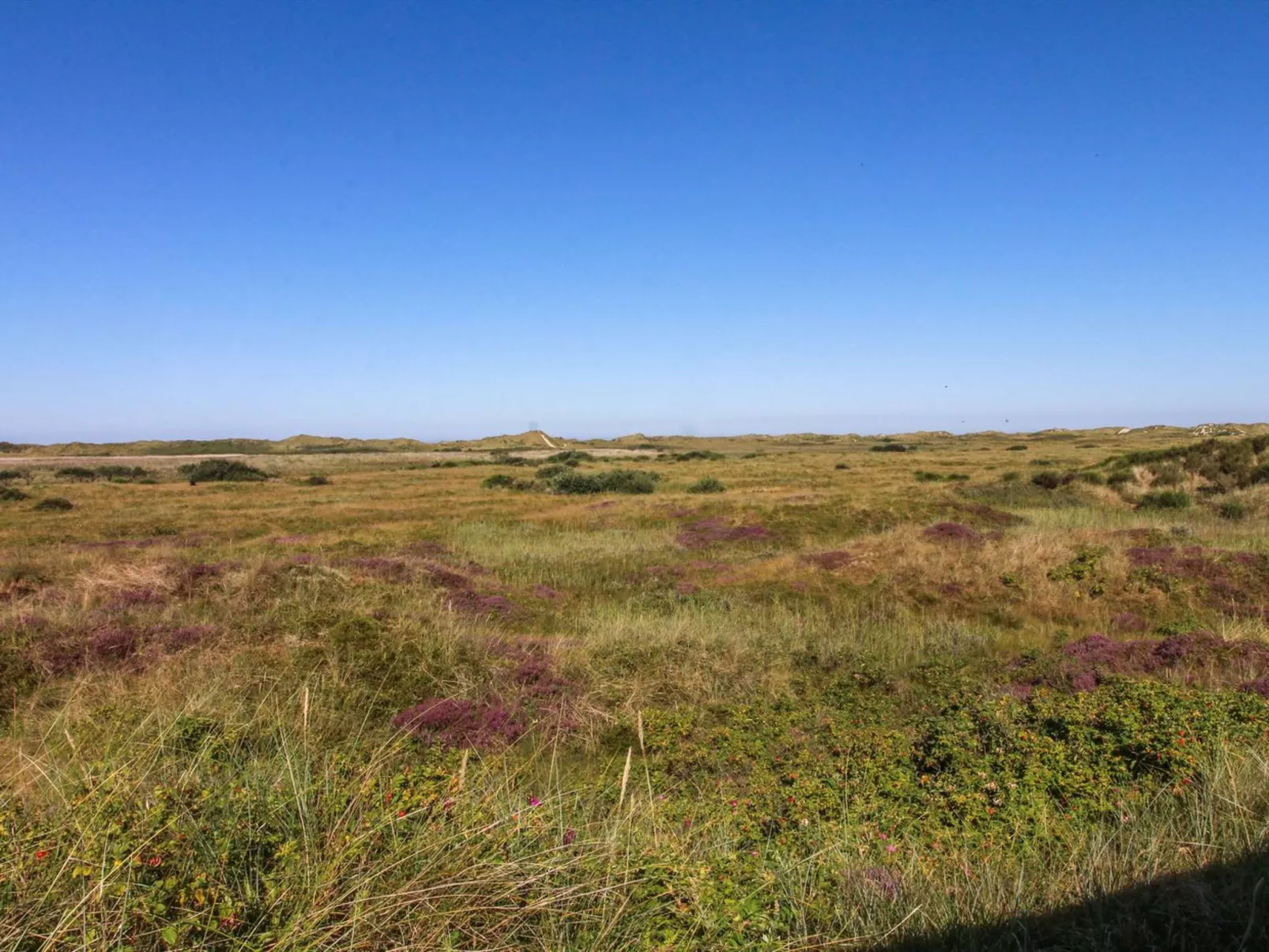 "Alim" - 300m from the sea-Draußen