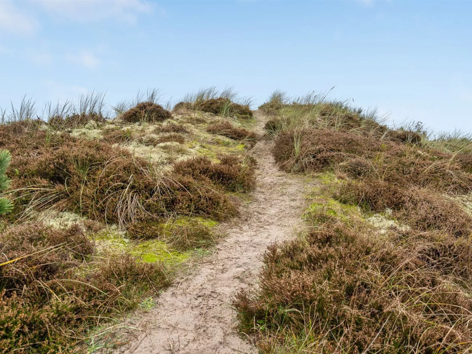 "Tino" - 900m from the sea-Outside