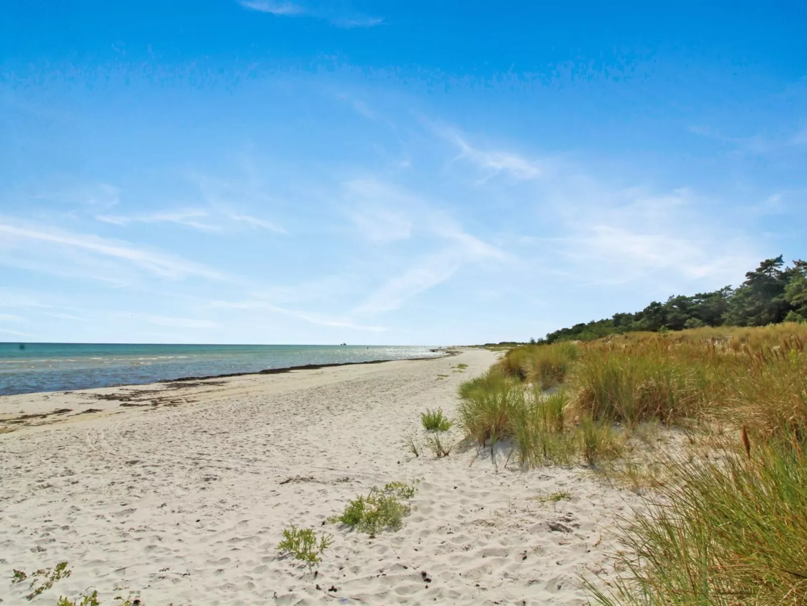 "Læff" - 50m from the sea-Draußen