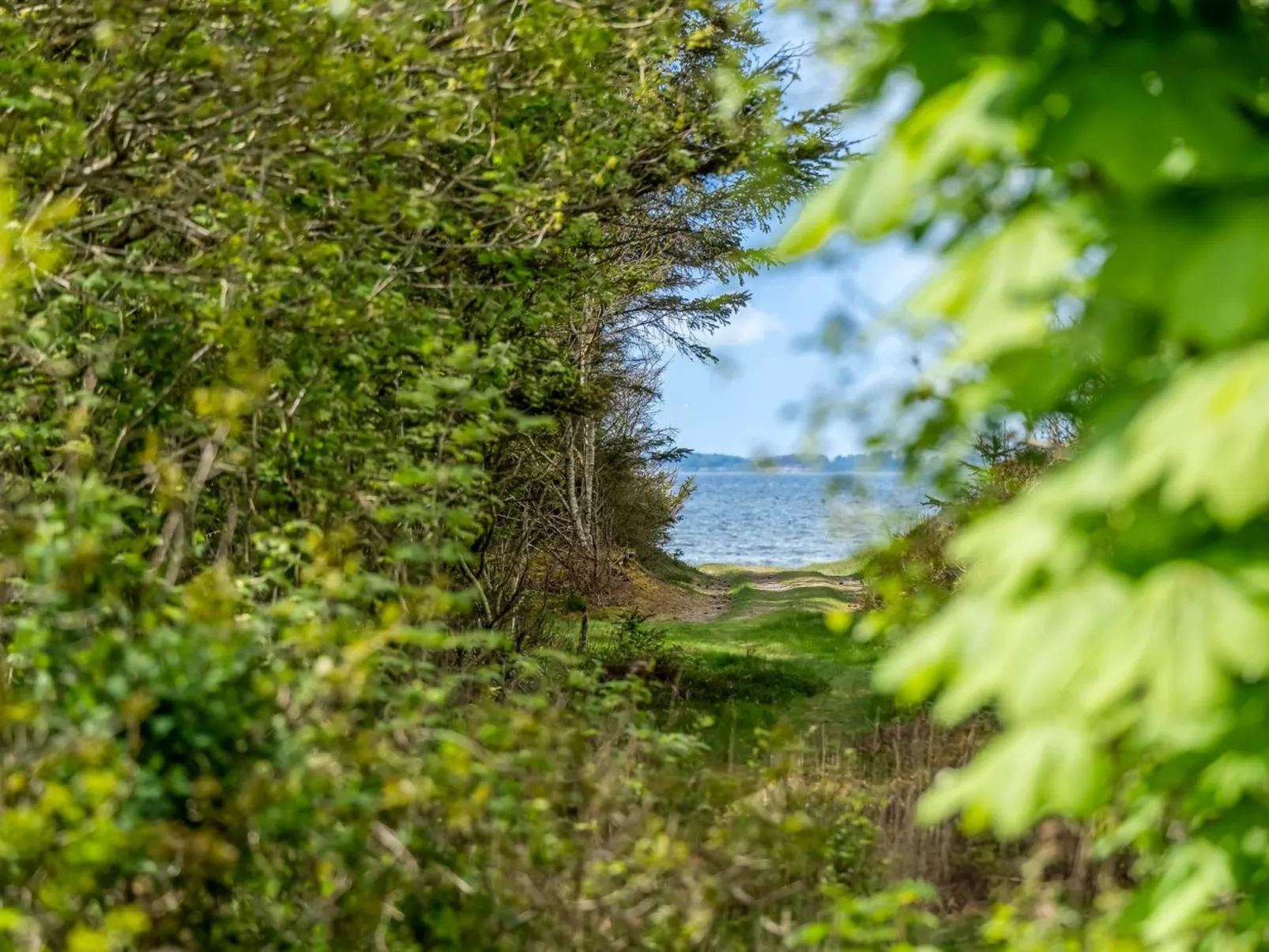 "Akke" - 150m to the fjord-Outside