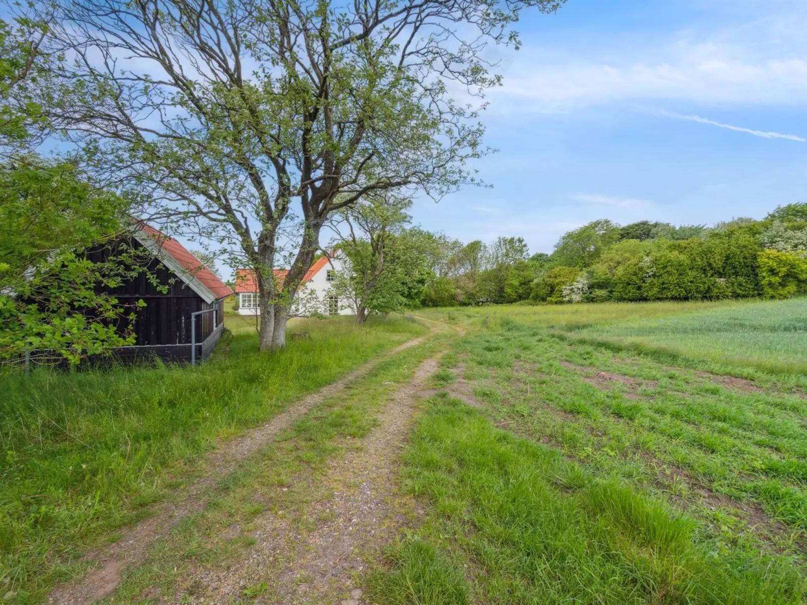 "Althea" - 750m to the fjord-Outside