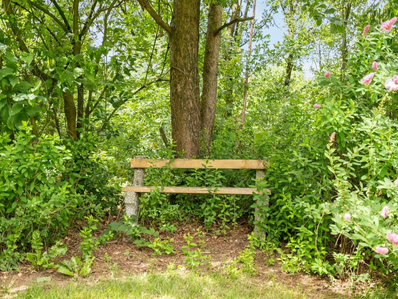 "Massie" - 30km from the sea-Outside