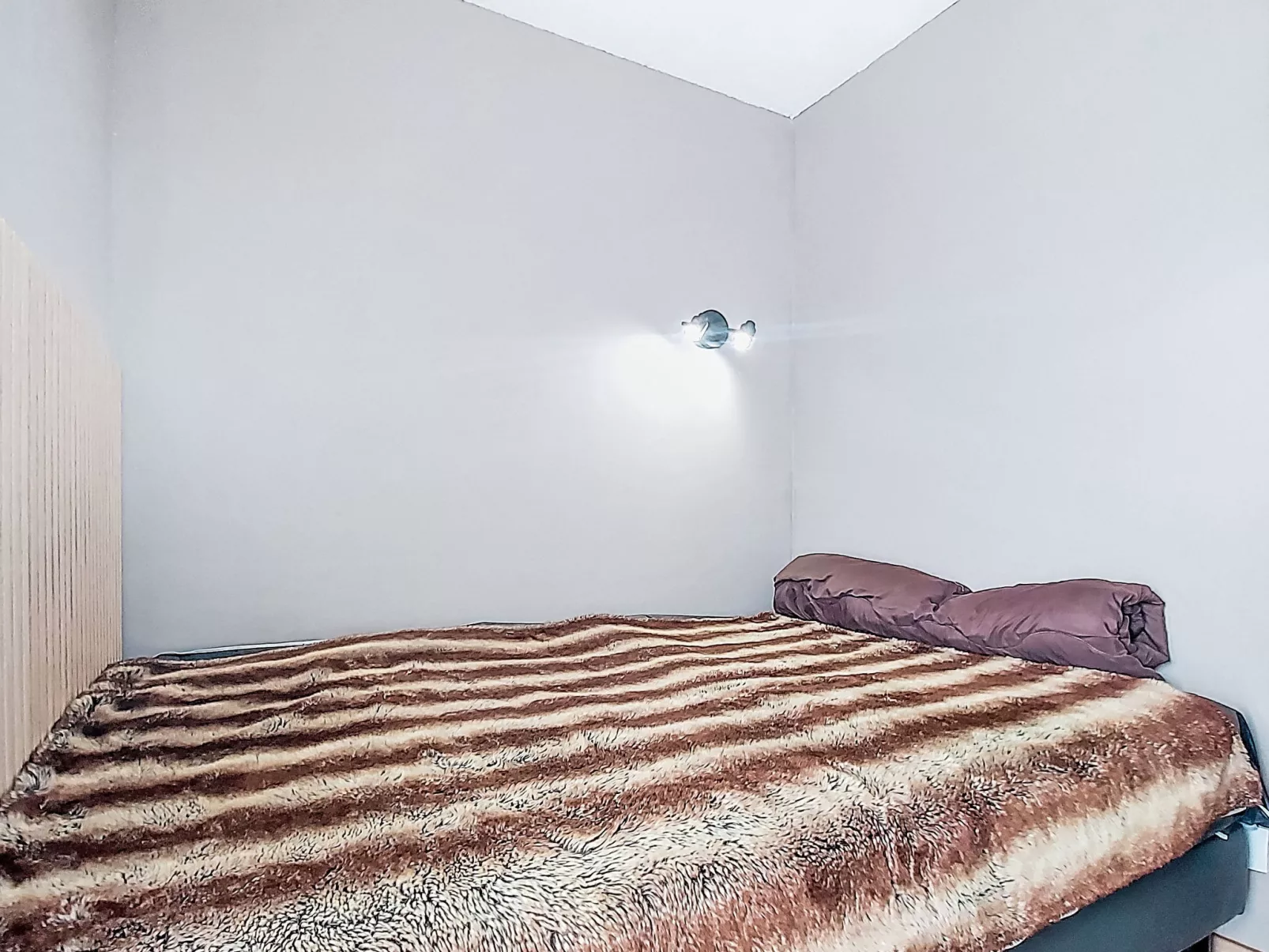 Cimes de Caron 2207-Dedans