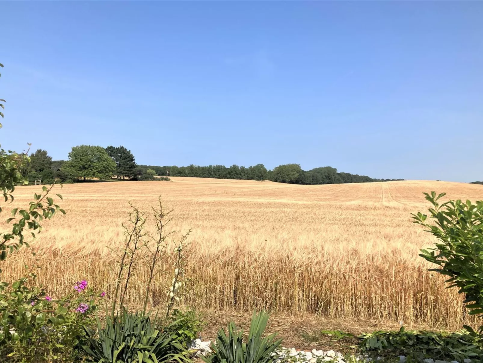 "Asya" - 600m from the sea-Outside