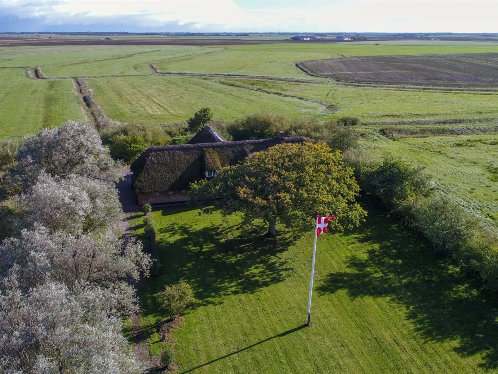 "Knut" - 10km from the sea-Outside