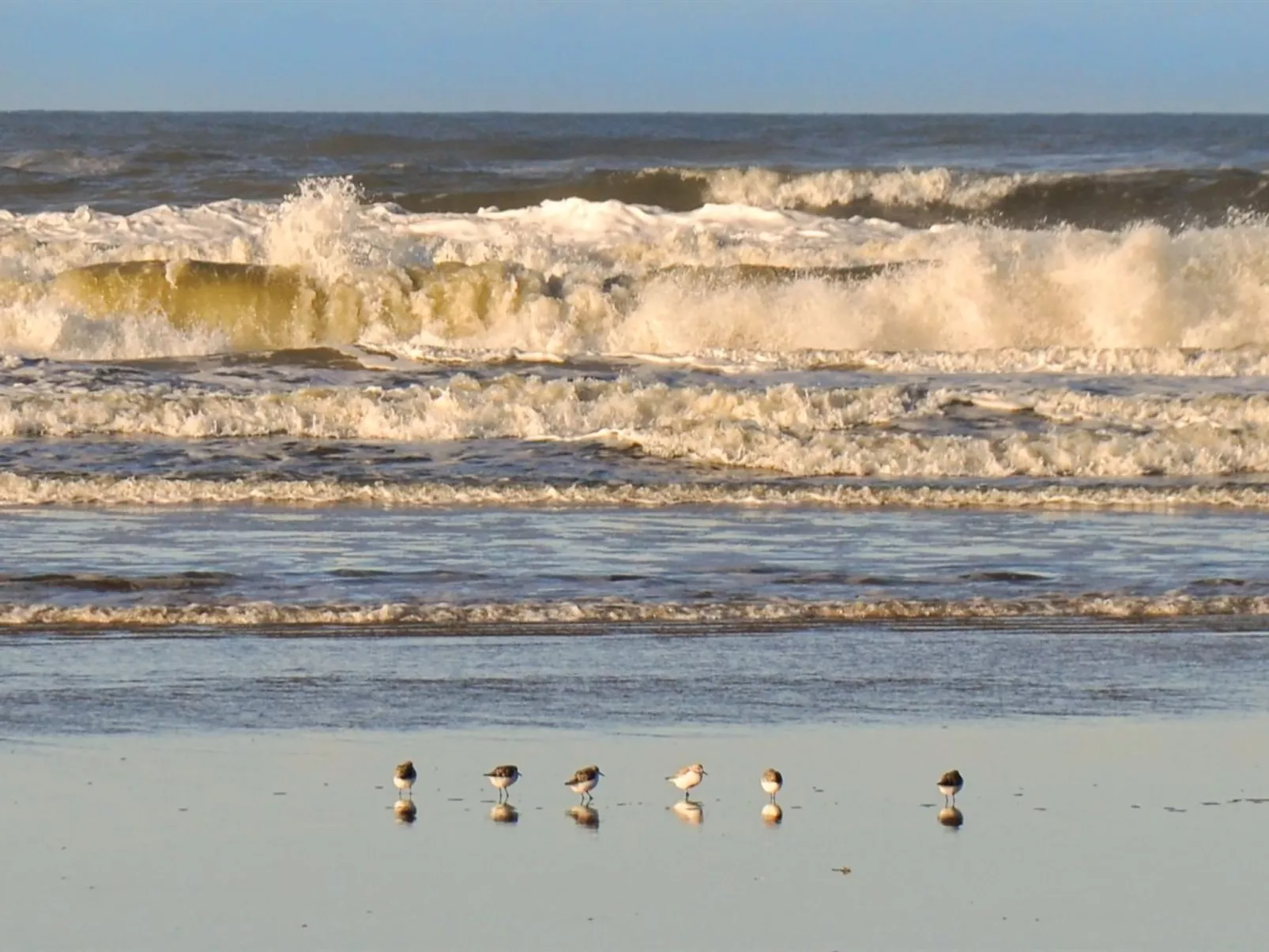 "Elsa" - 700m from the sea-Draußen