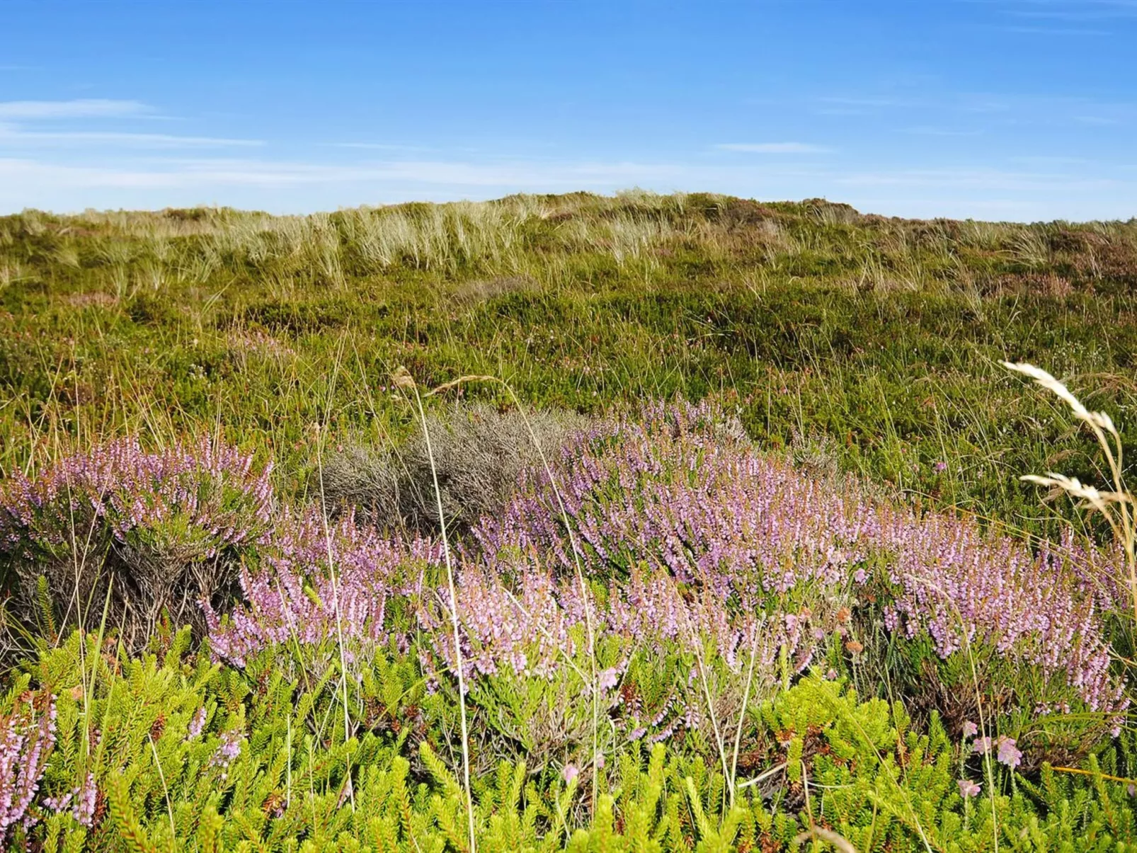 "Elsia" - 1.5km to the fjord-Outside