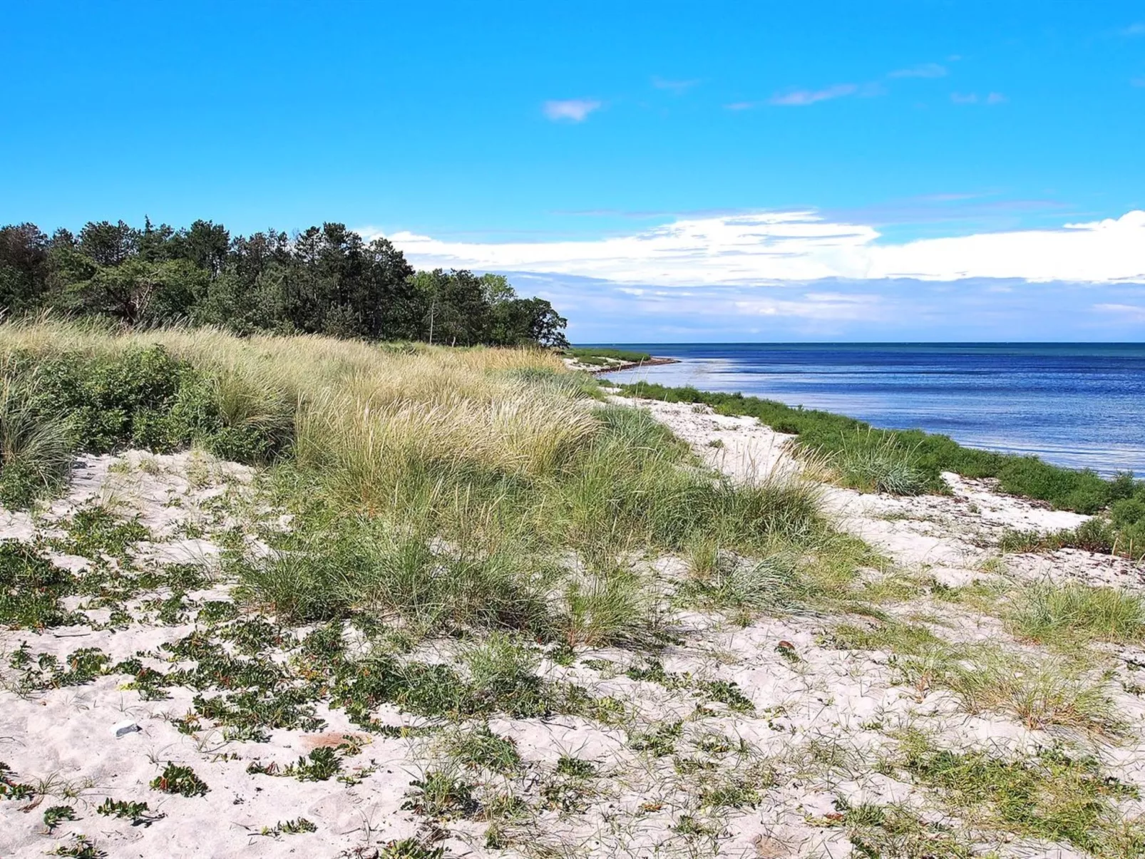 "Liselotte" - 275m from the sea-Outside