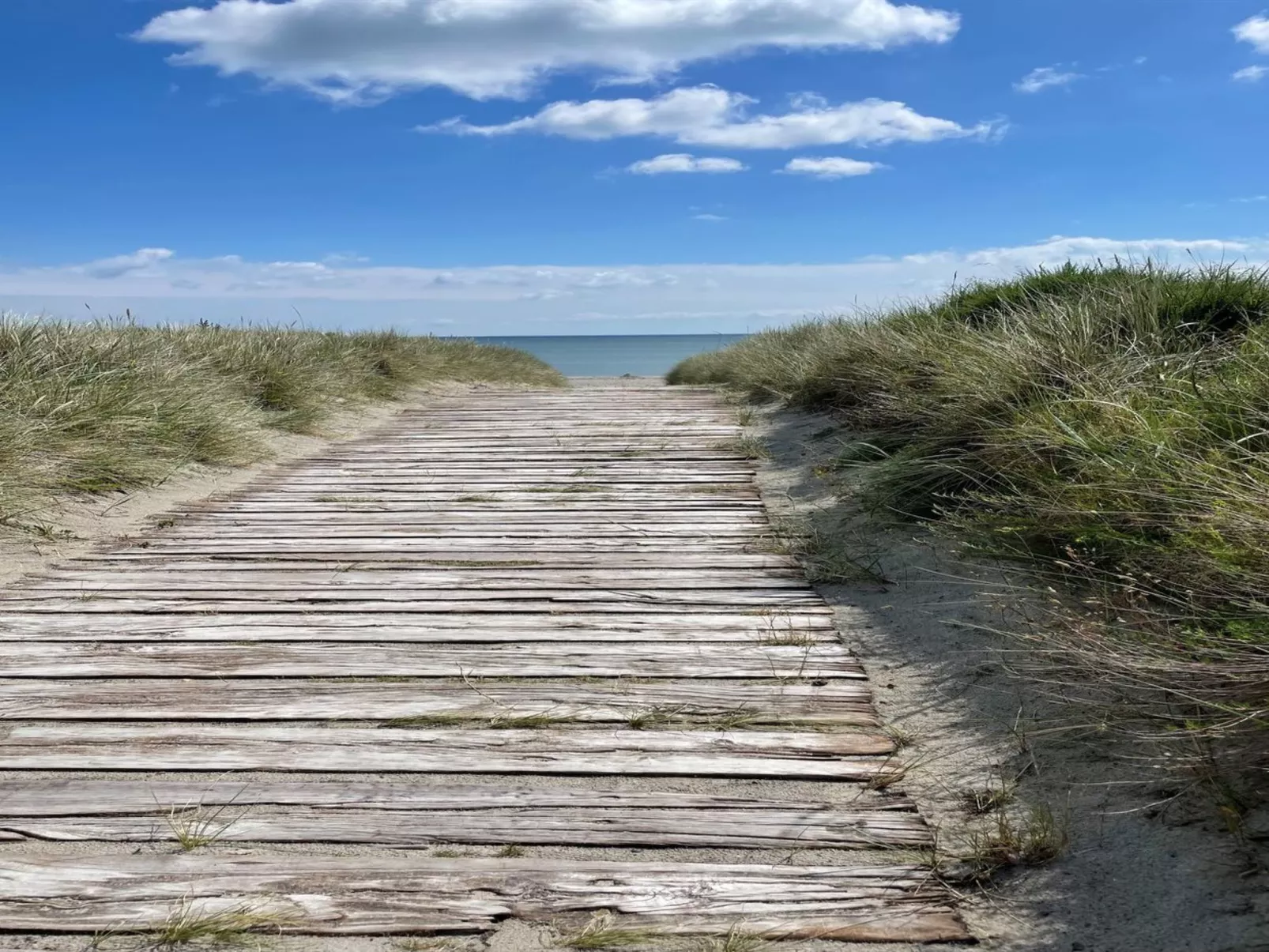 "Poul" - 100m from the sea-Draußen