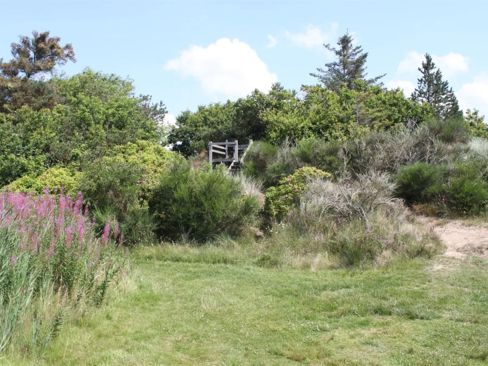 "Pyry" - 400m to the fjord-Dehors