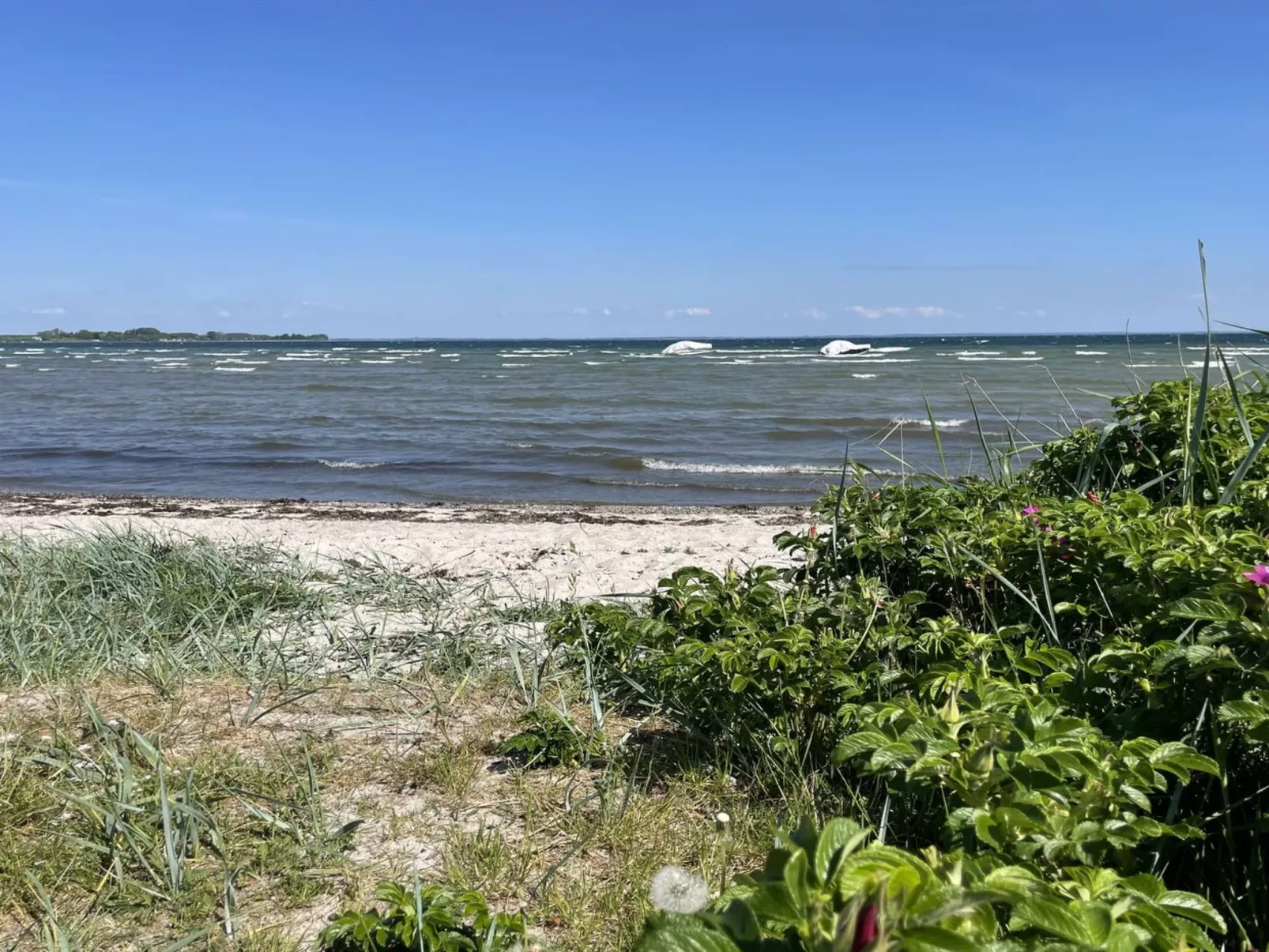 "Ely" - 300m from the sea-Outside