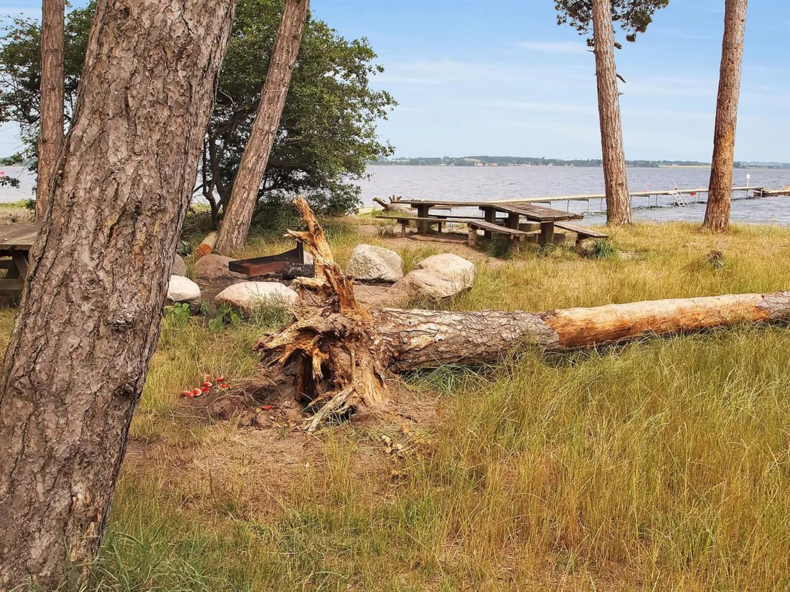 "Jeip" - 400m to the fjord-Dehors