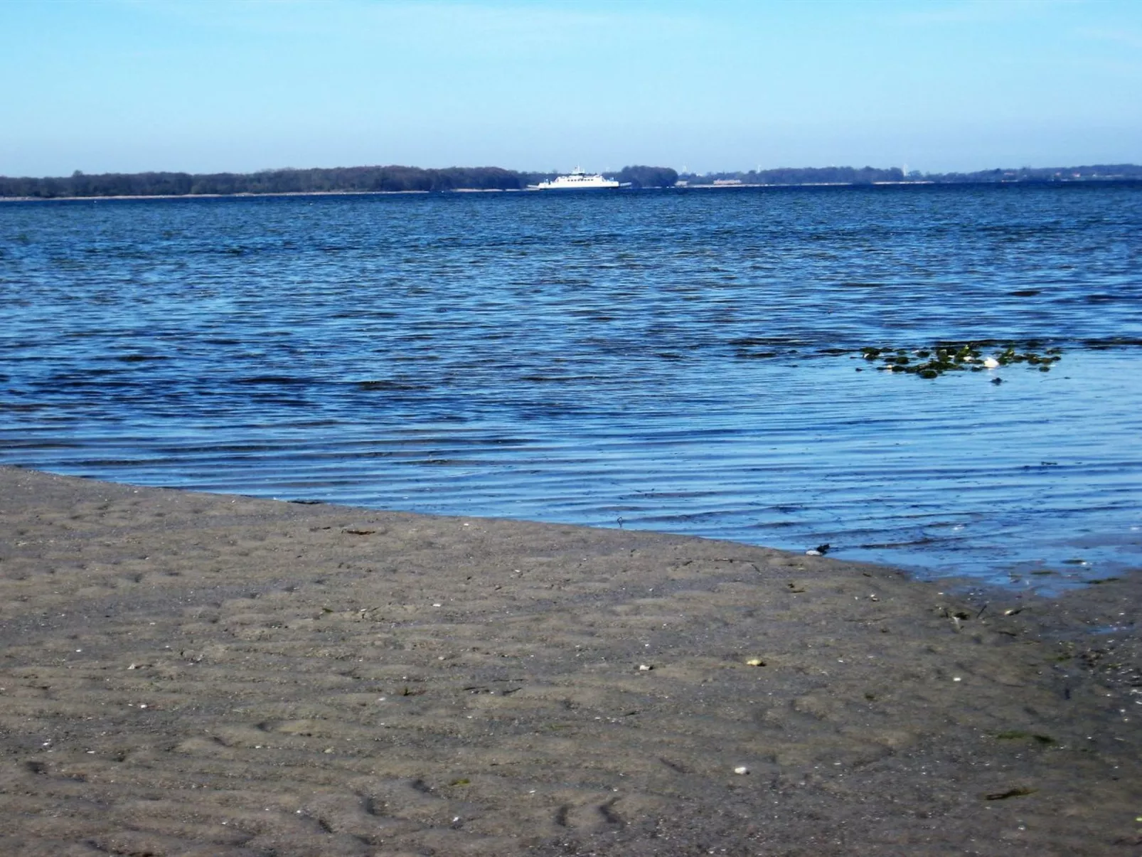 "Eddy" - 50m from the sea-Outside