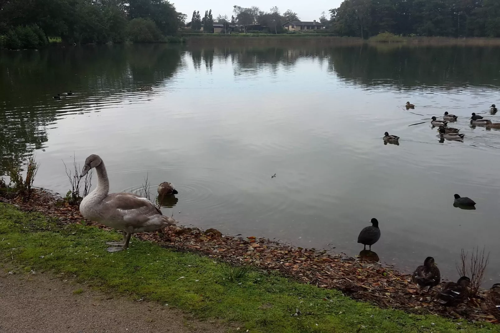 Maison de vacances pour 7 a Løgstør-By Traum-Vue sur l'eau