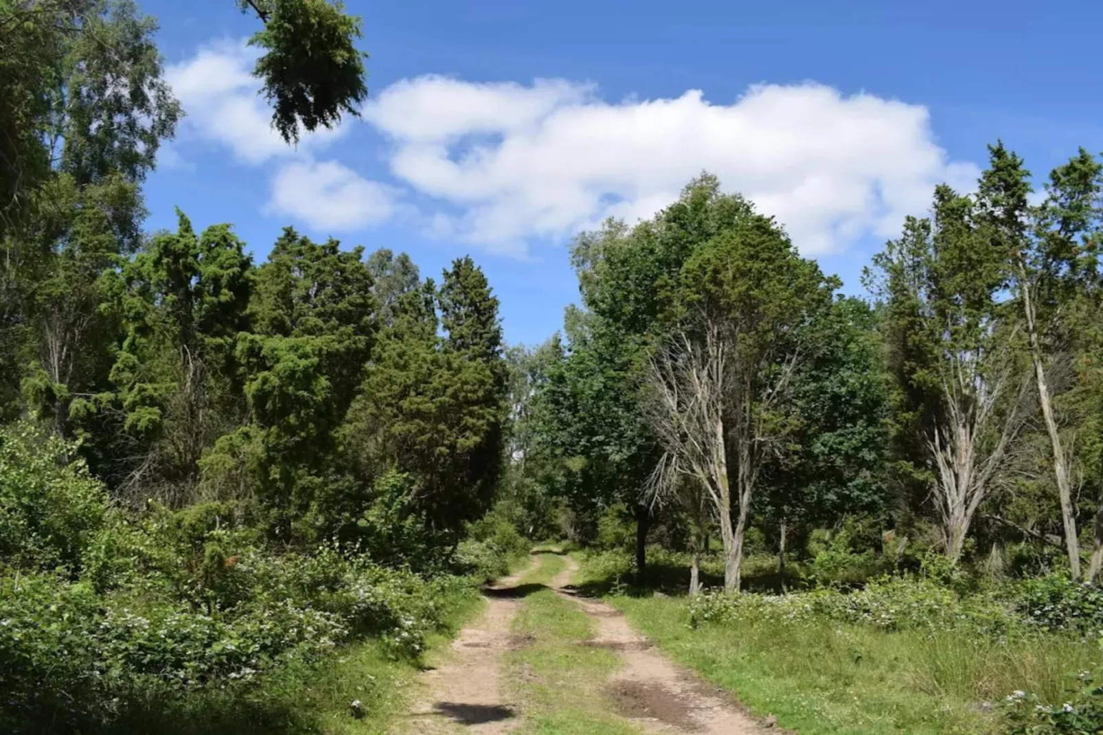 9 person holiday home in Ljungbyhed-By Traum-Untagged
