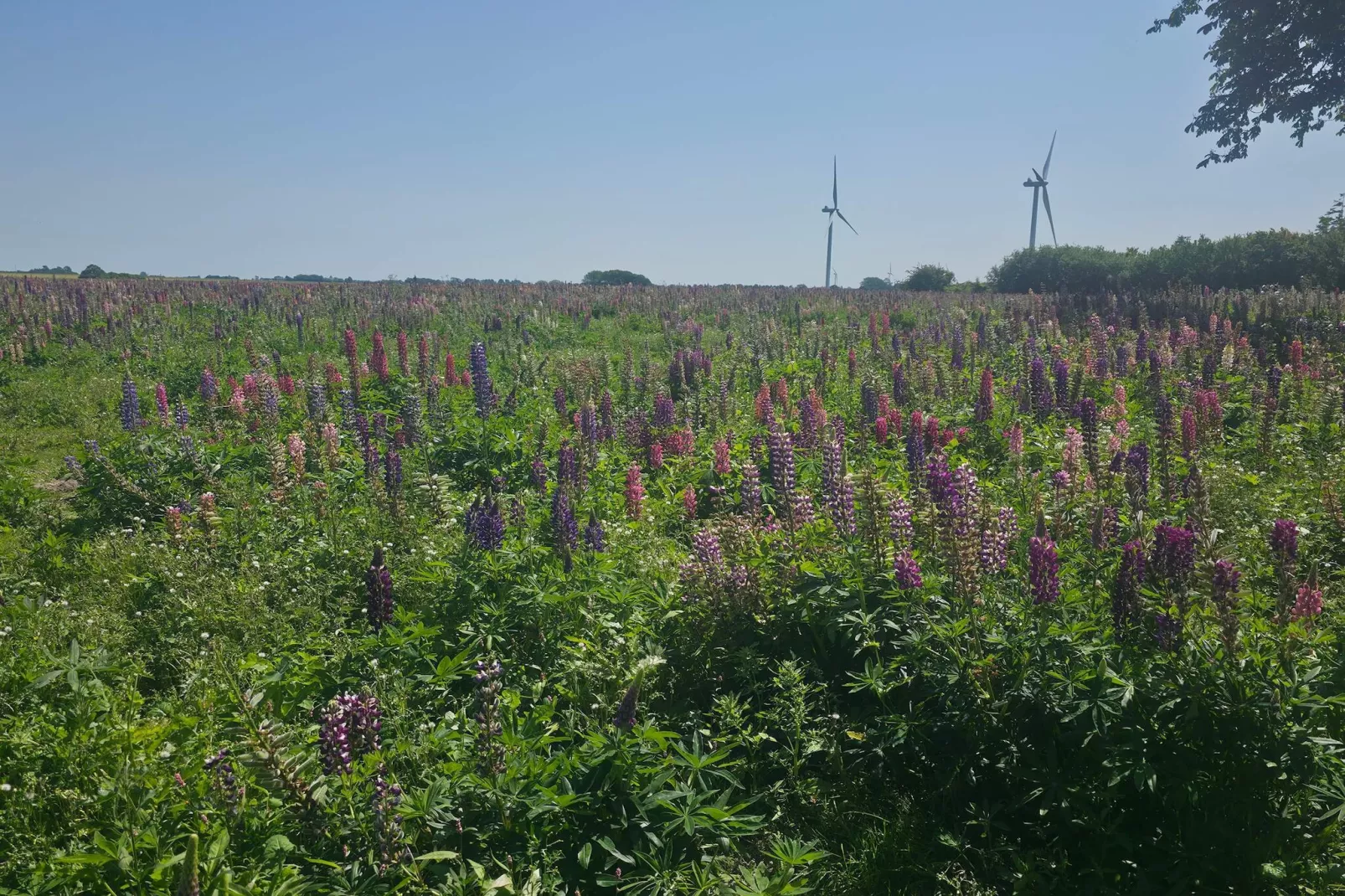Luxurioses Spa-Retreat in Lolland -- By Traum Ferienwohnungen-Nicht zugeordnet