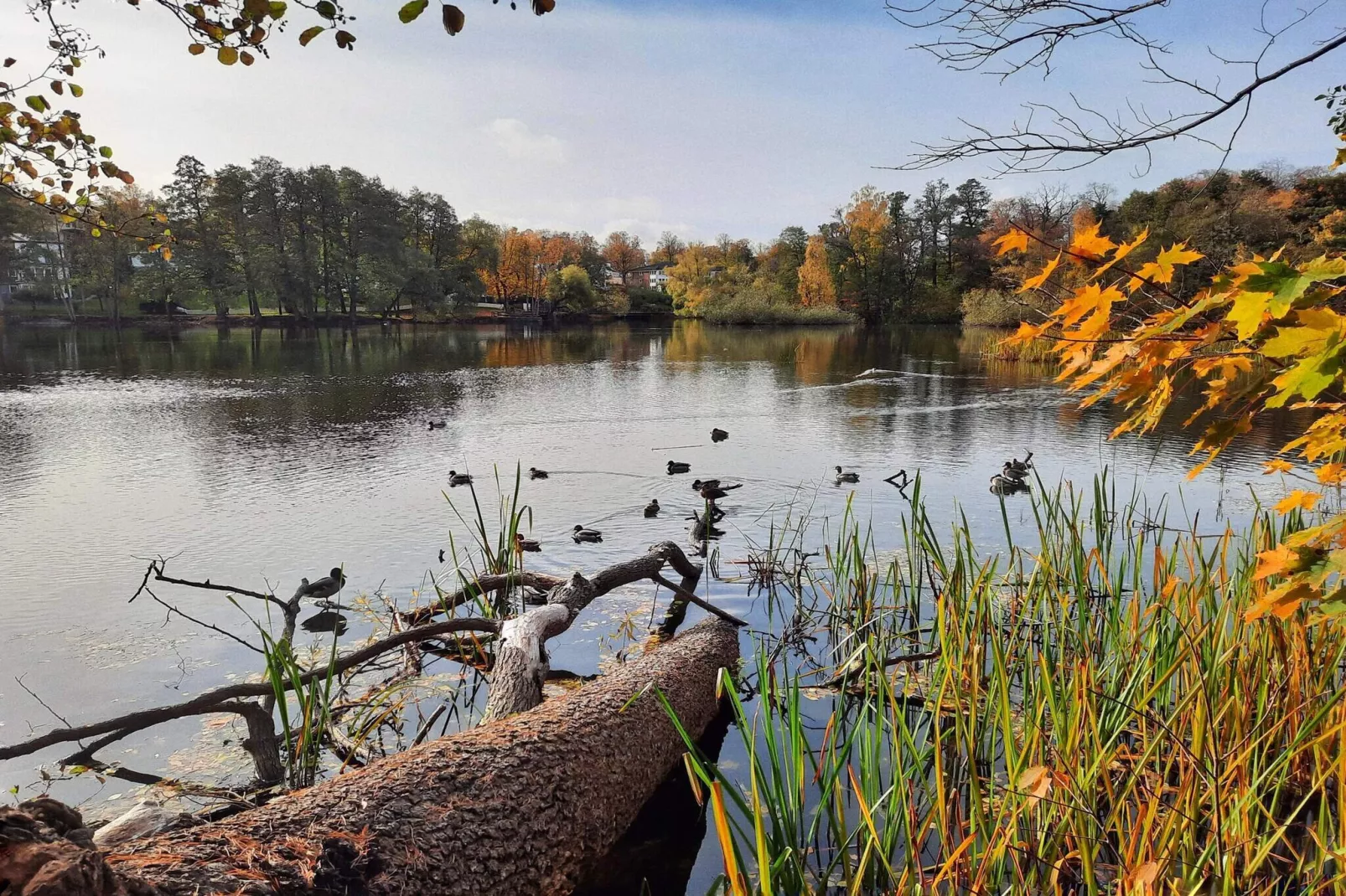 Gîte avec jacuzzi à Rejmyre-Vue sur l'eau