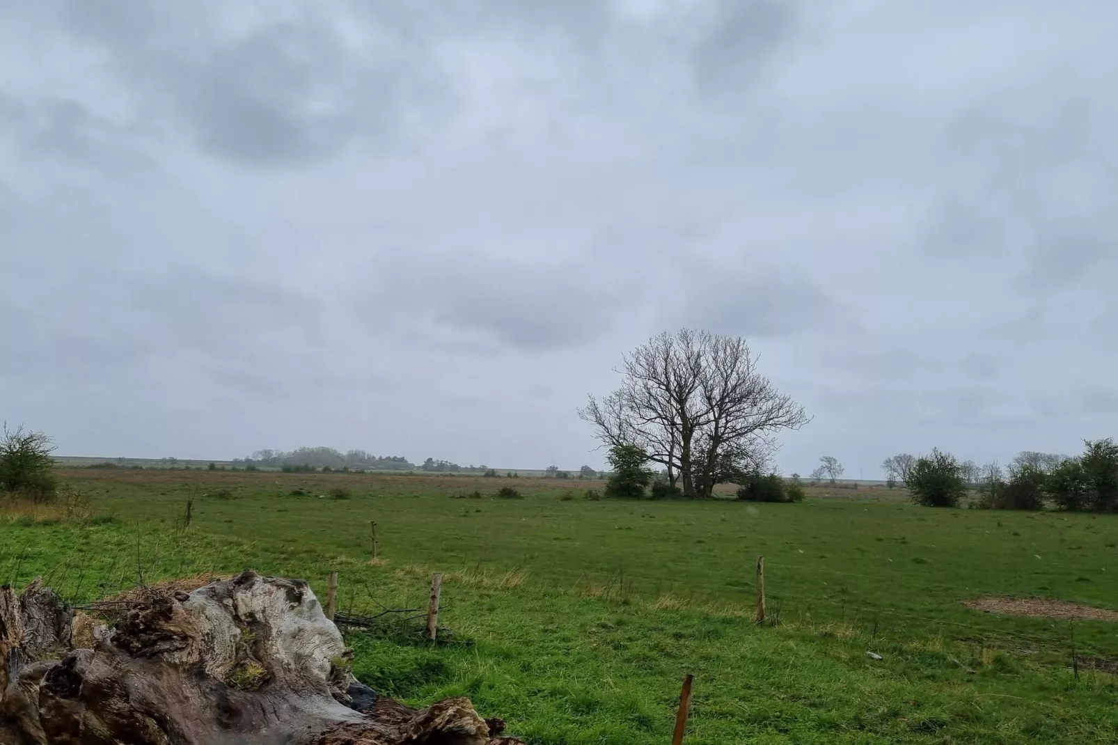 4 Personen Ferienhaus in Rødby-By Traum-Nicht zugeordnet