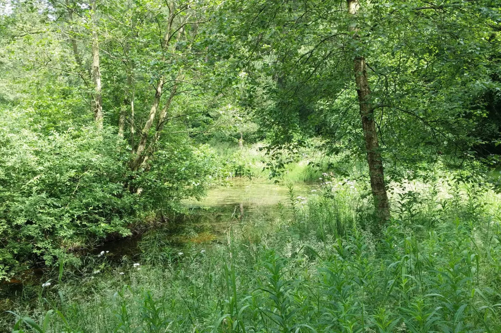 Lakefront Gem in Skarrild - By Traum Ferienwohnungen-Untagged