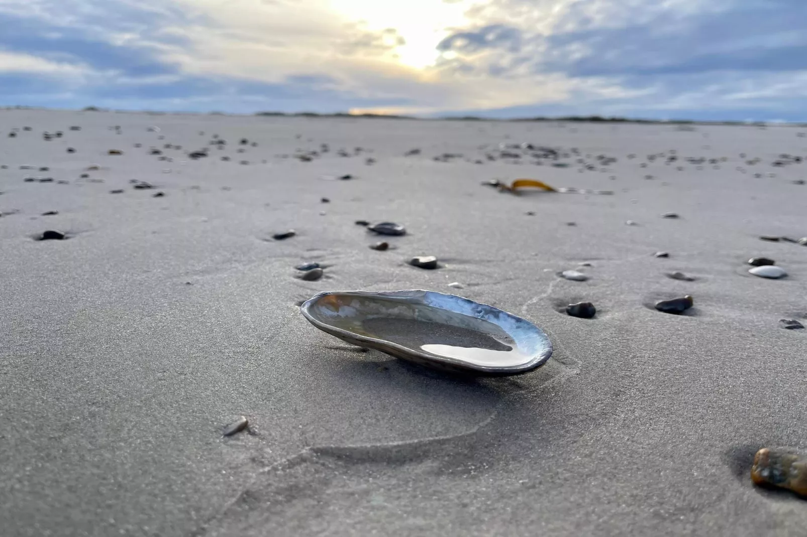 4 star holiday home in Blokhus-By Traum-Untagged