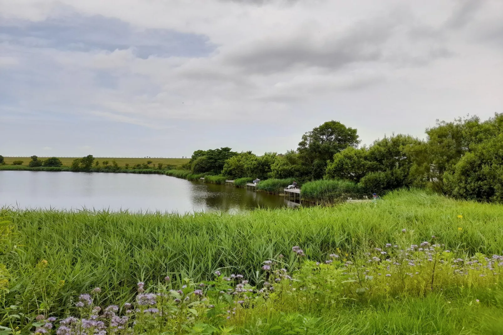 SeeZeichen auf Nordstrand - 4 Personen-Areas within 1km in summer