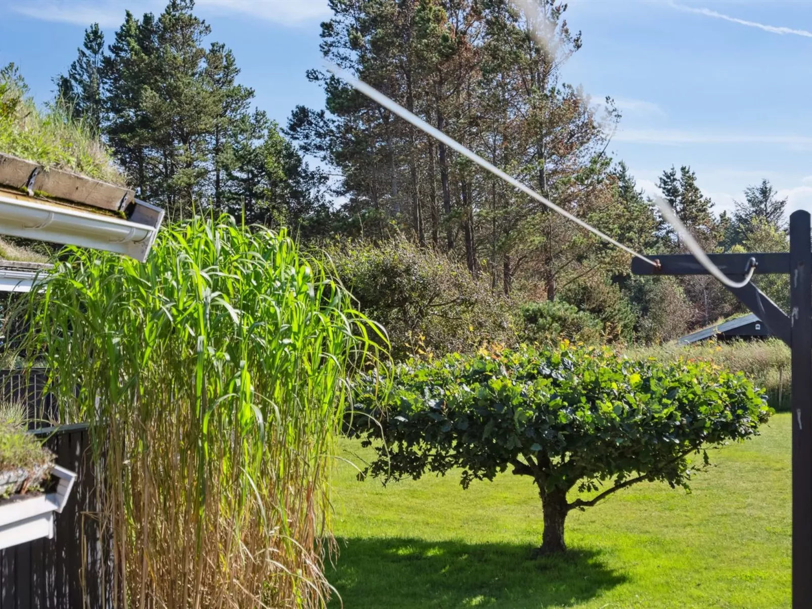 "Ofelia" - 2.5km from the sea-Dehors