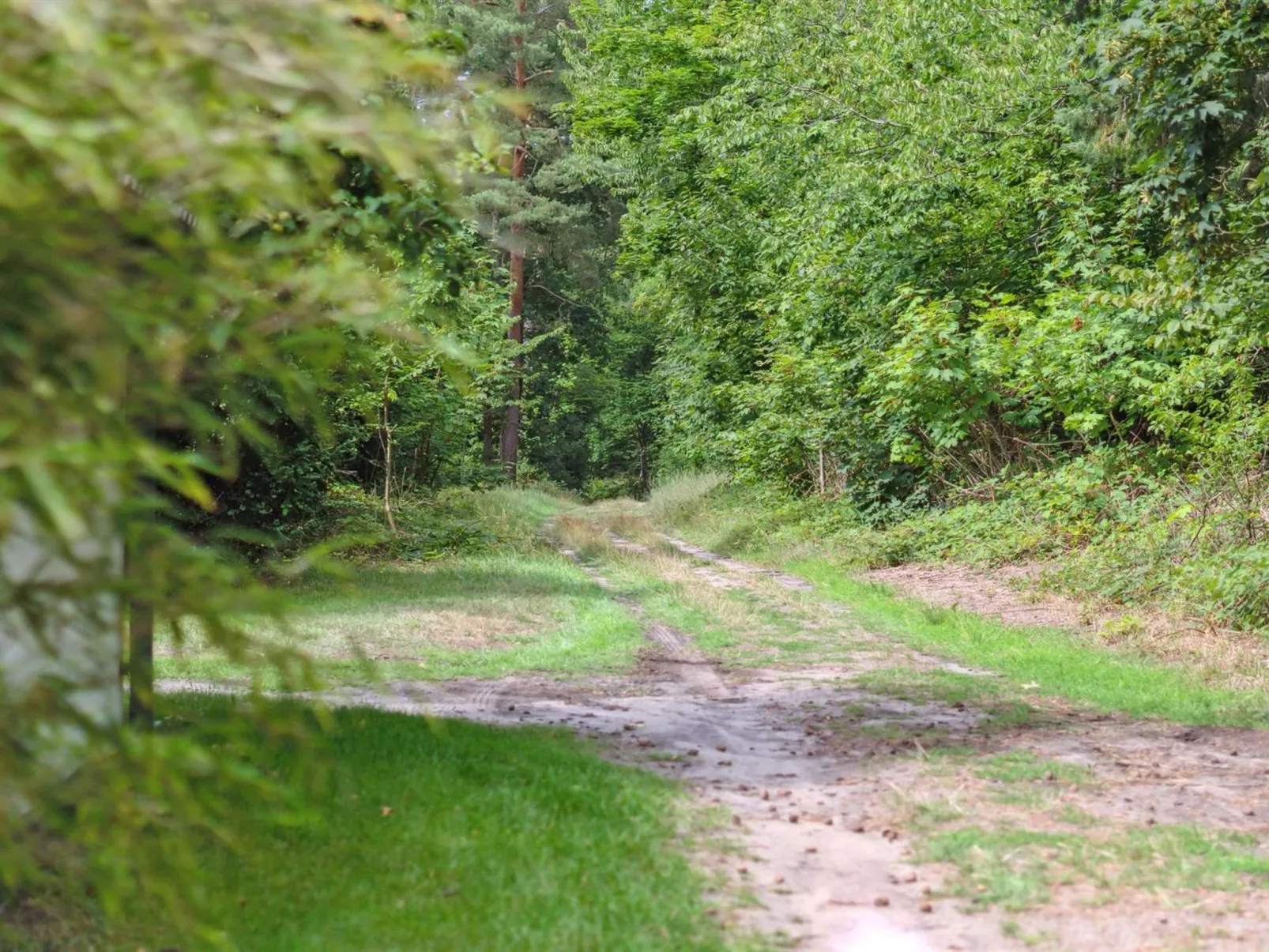 "Rina" - 250m from the sea-Dehors