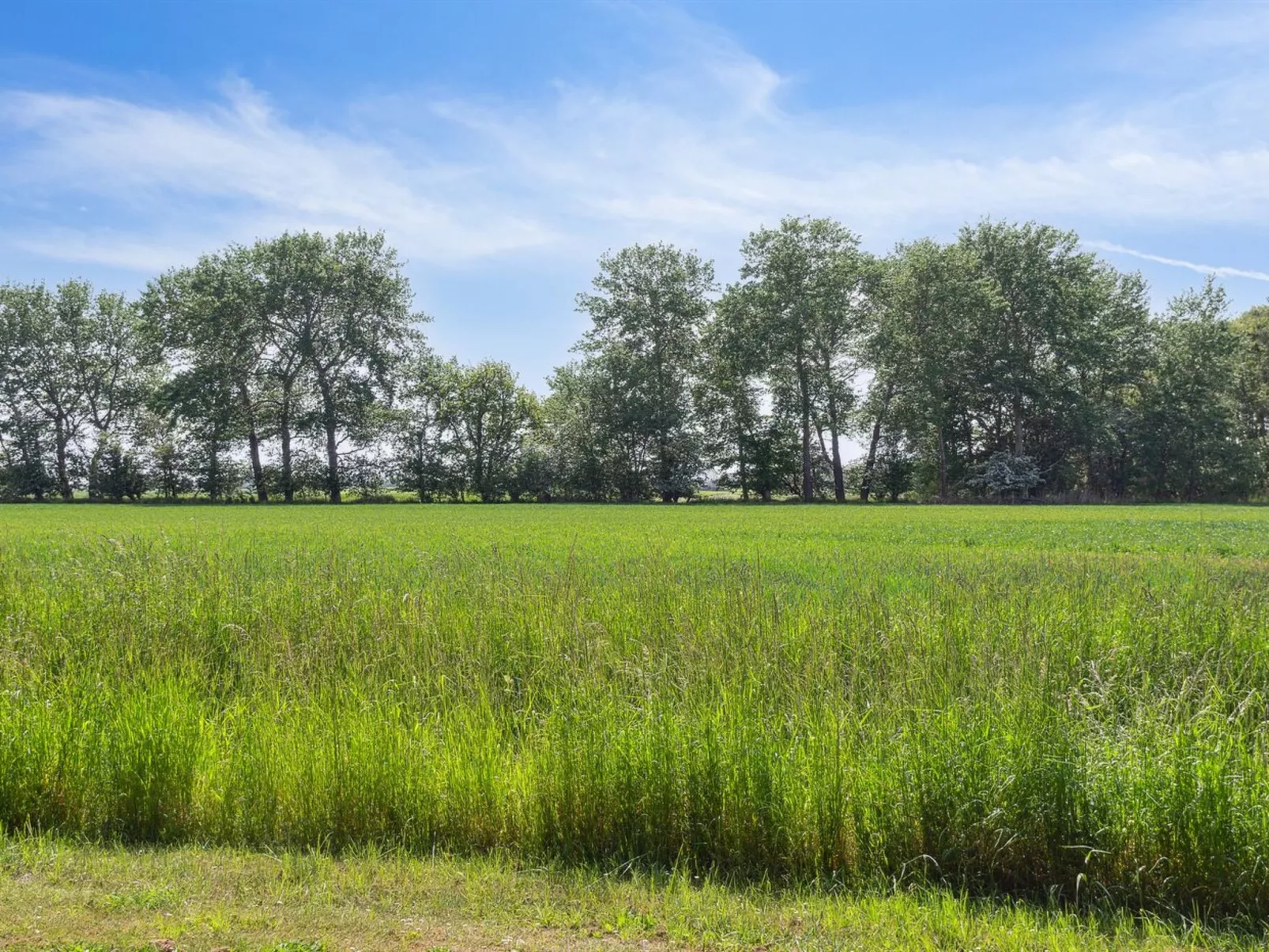 "Konrad" - 700m from the sea-Outside