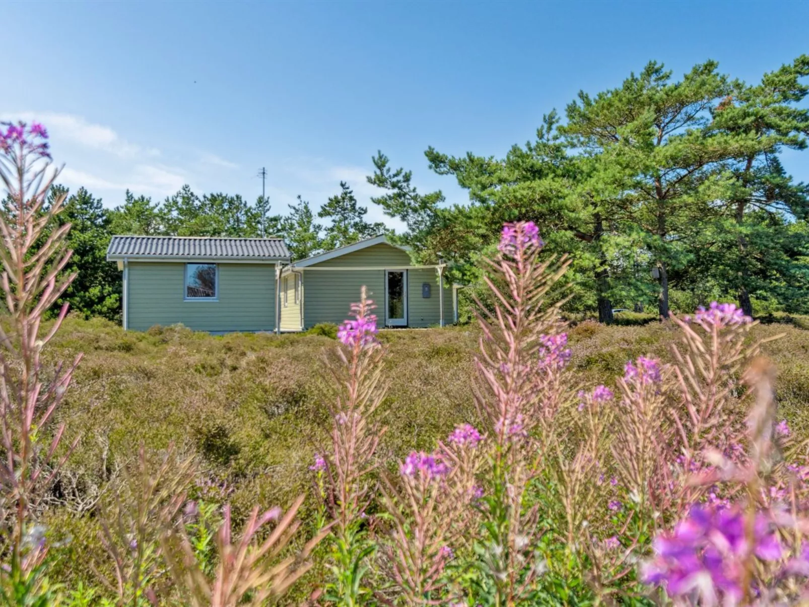 "Alwine" - 250m from the sea-Outside