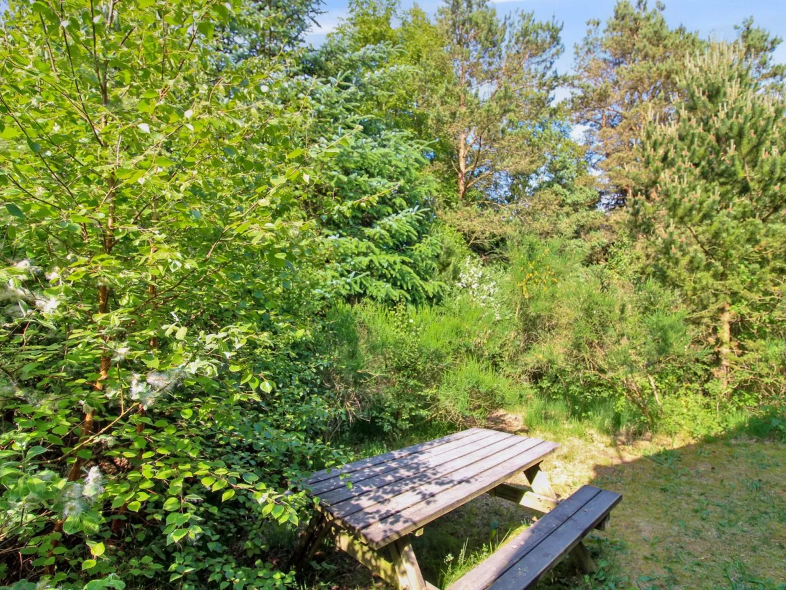 "Arlett" - 950m from the sea-Dehors