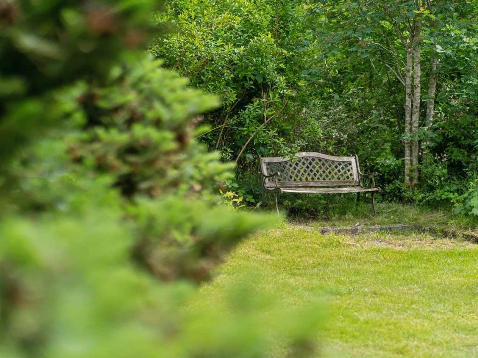 "Agnita" - 8km from the sea-Dehors