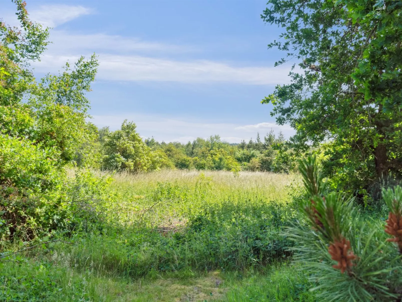 "Nadia" - 300m to the fjord-Outside