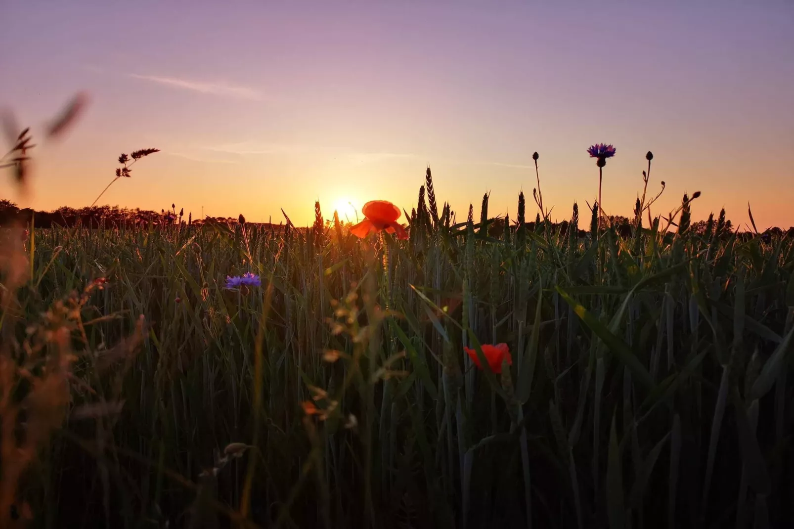 6 person holiday home in Skibby-By Traum-Untagged