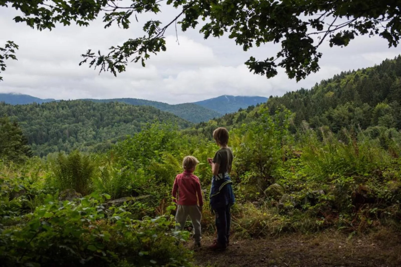 Domaine Des Messires 2-Areas within 5km in summer