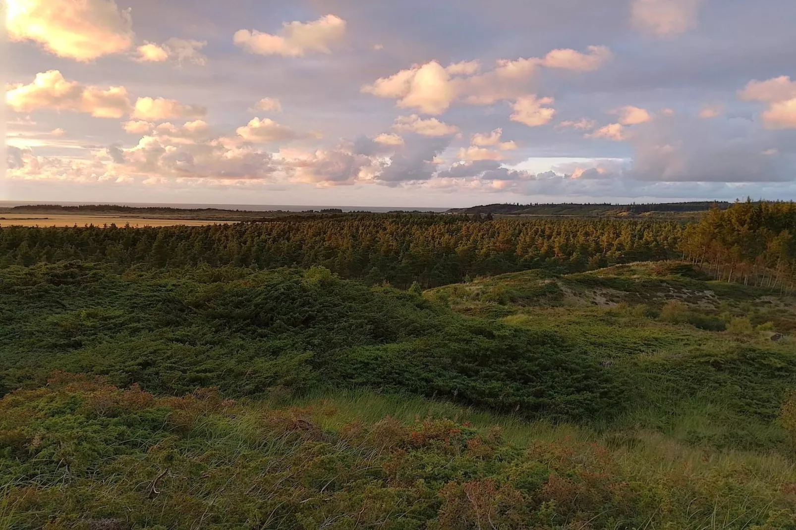 7 Personen Ferienhaus in Fjerritslev-By Traum-Nicht zugeordnet