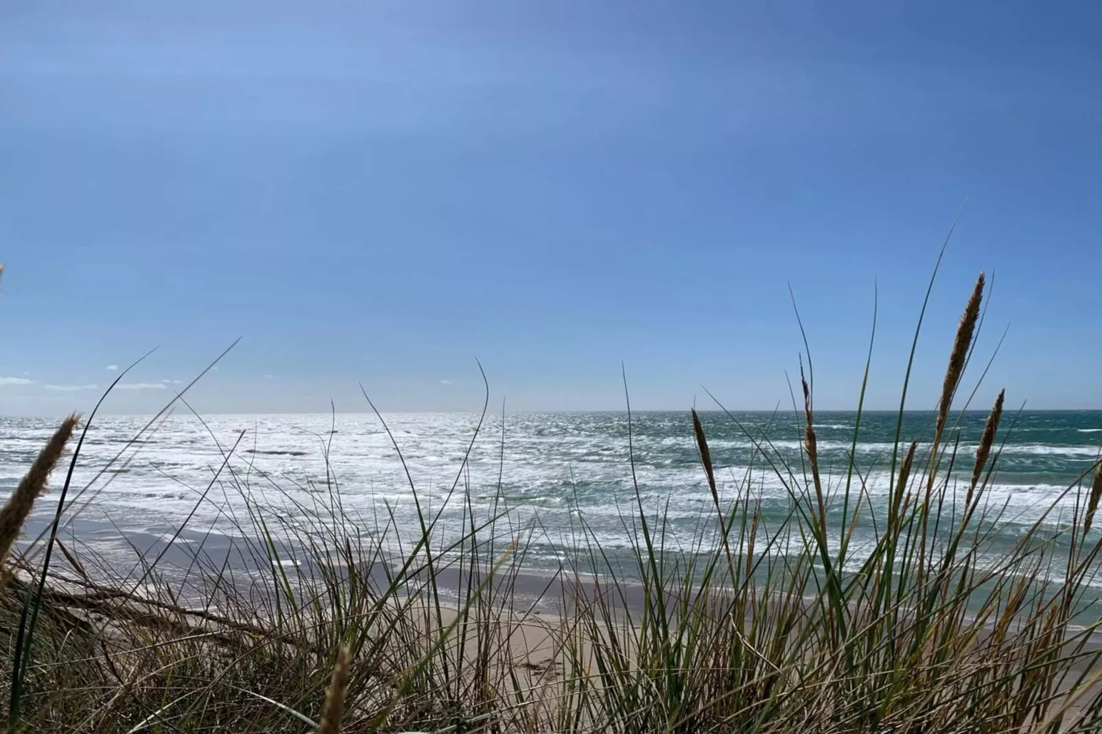 Maison de vacances pour 6 a Læsø-By Traum-Vue sur l'eau