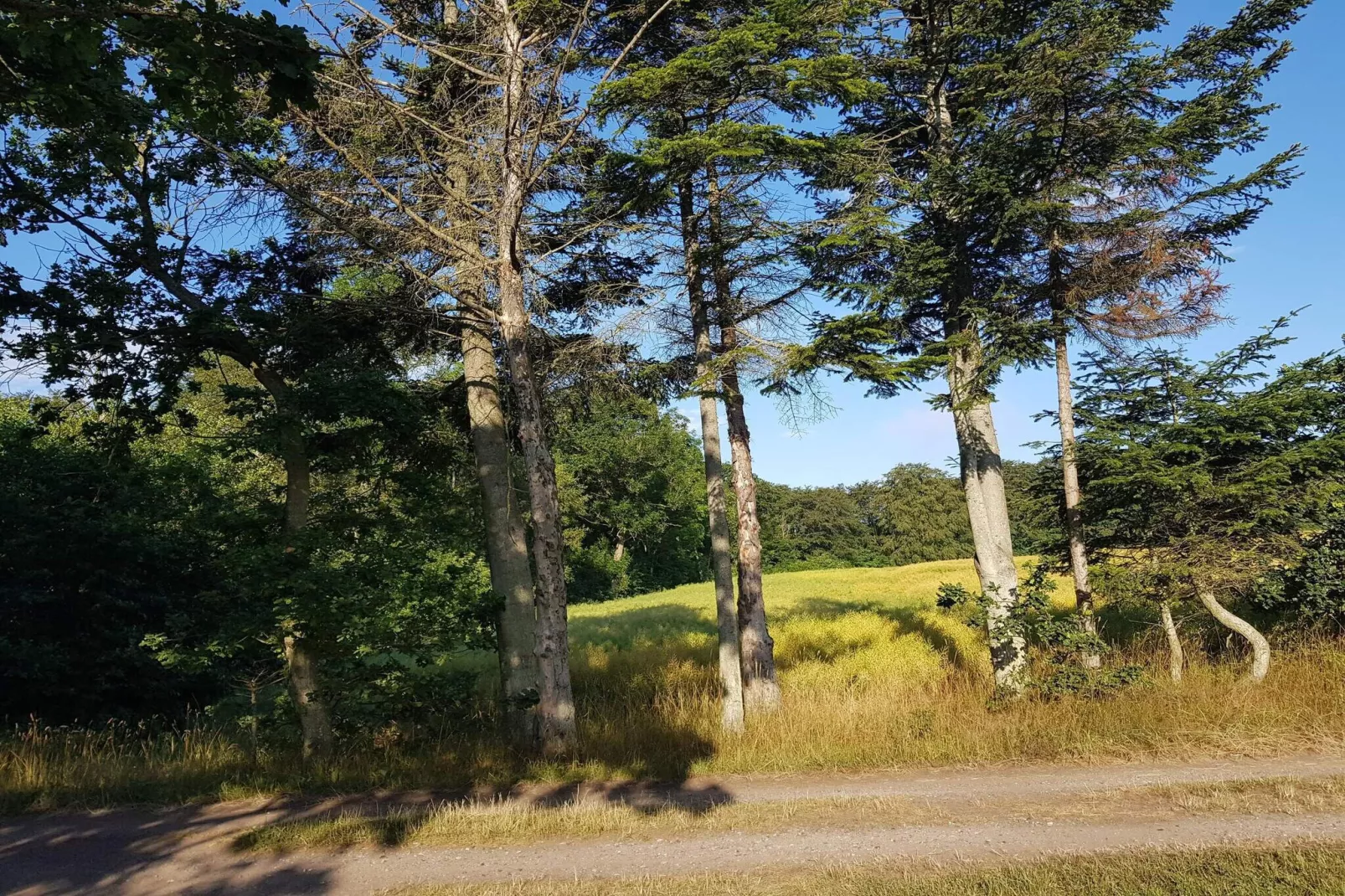 5 star holiday home in Frederikshavn-By Traum-Untagged