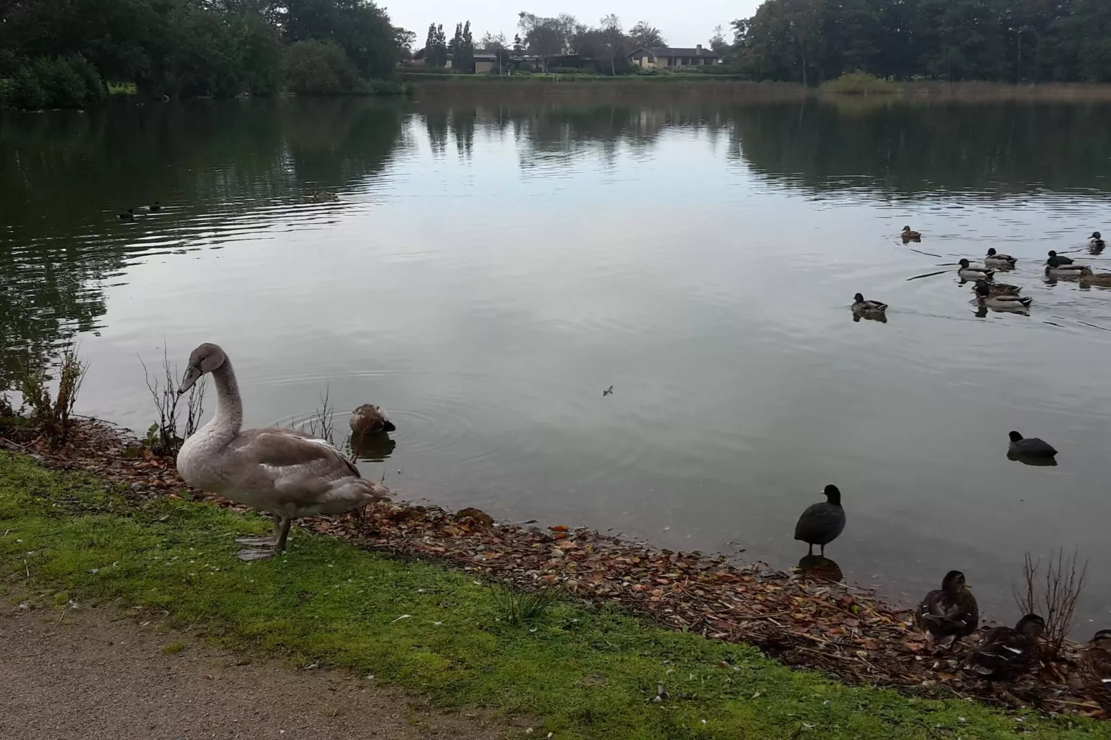 4 etoiles maison de vacances a Løgstør-By Traum-Vue sur l'eau