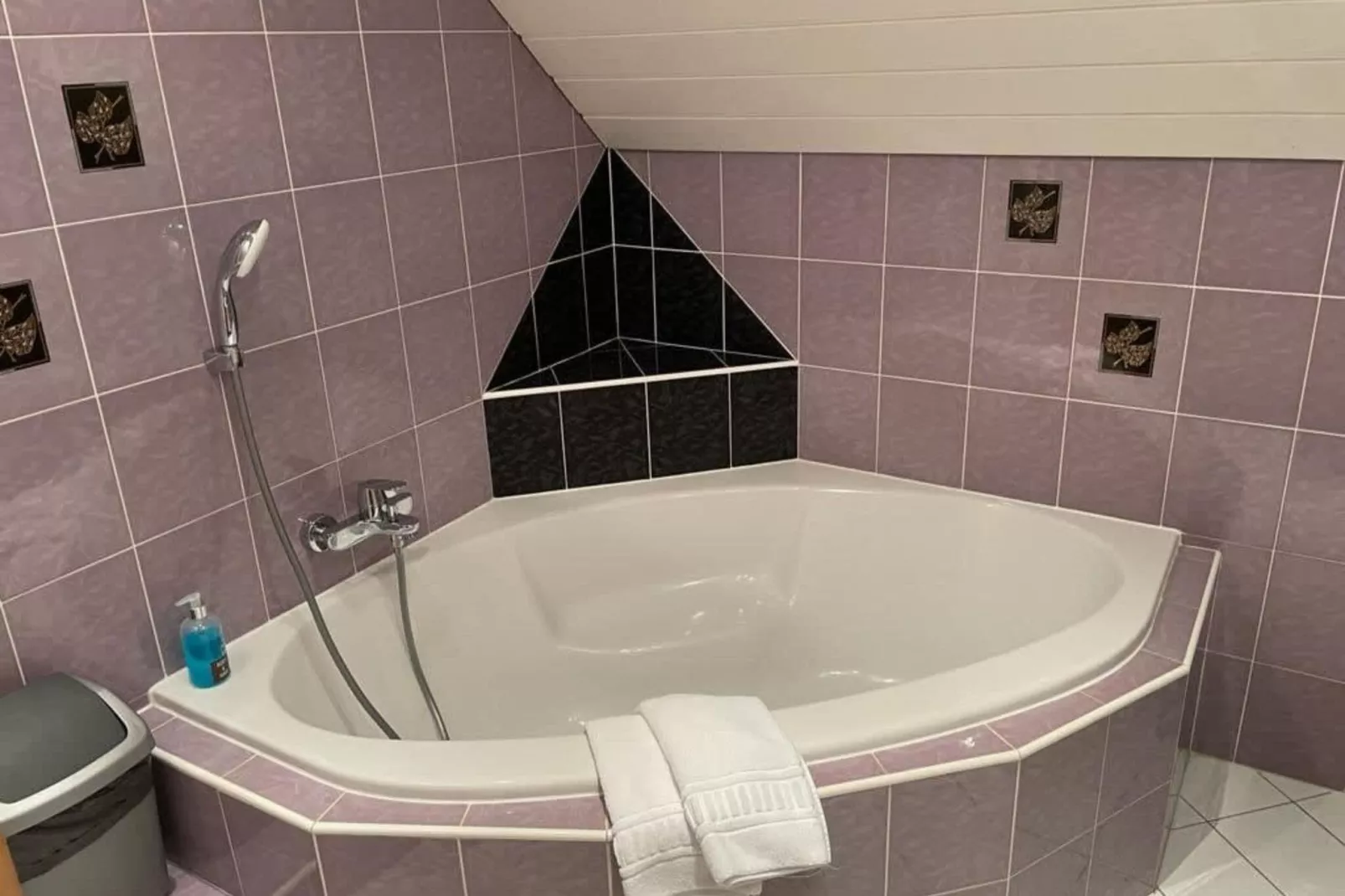 Resort Hermagor-Nassfeld 2-Bathroom