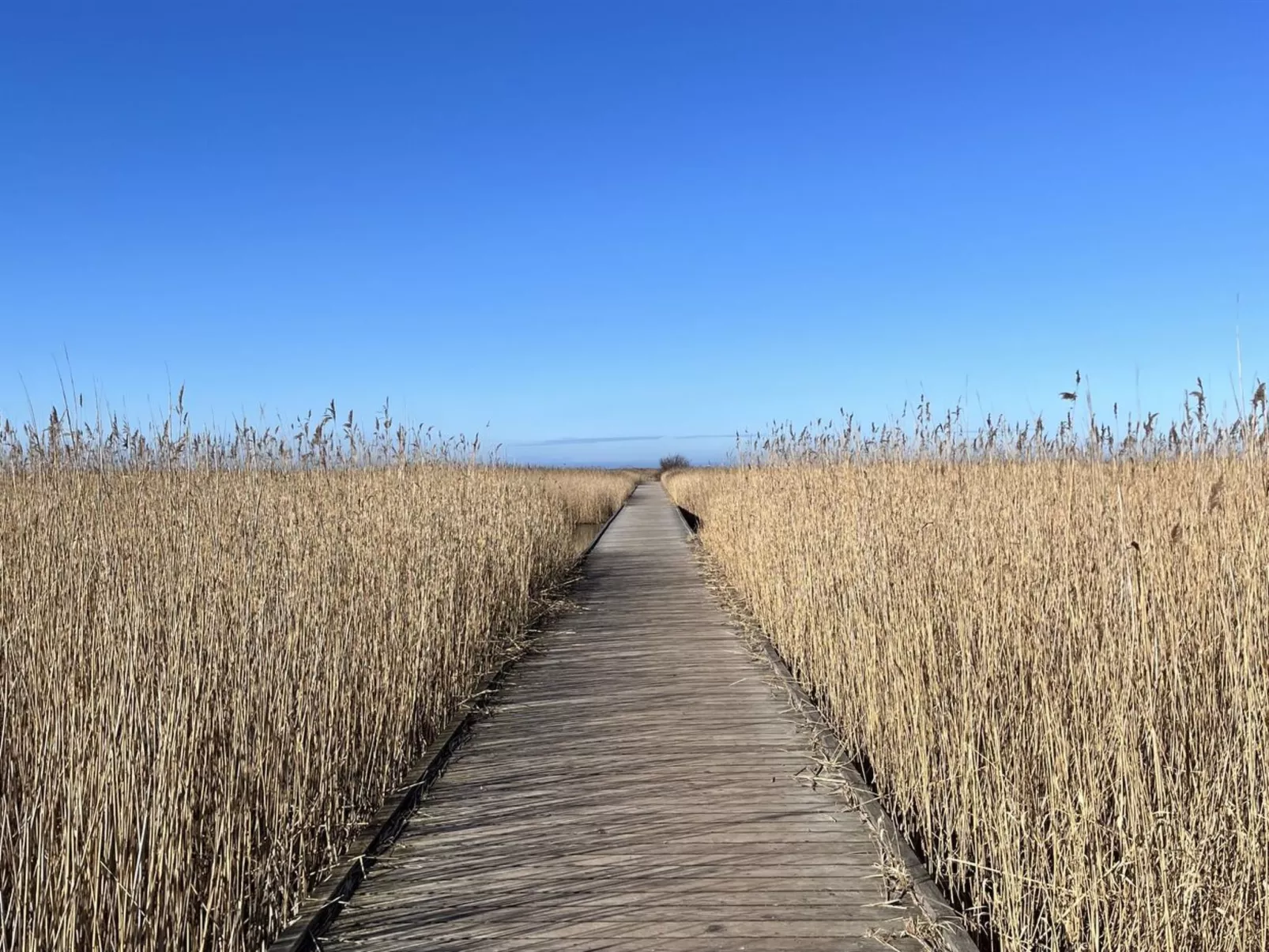 "Ela" - 800m from the sea-Outside