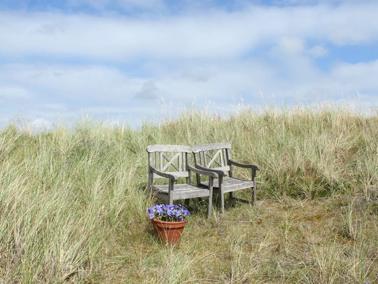 "Heilo" -  from the sea-Draußen