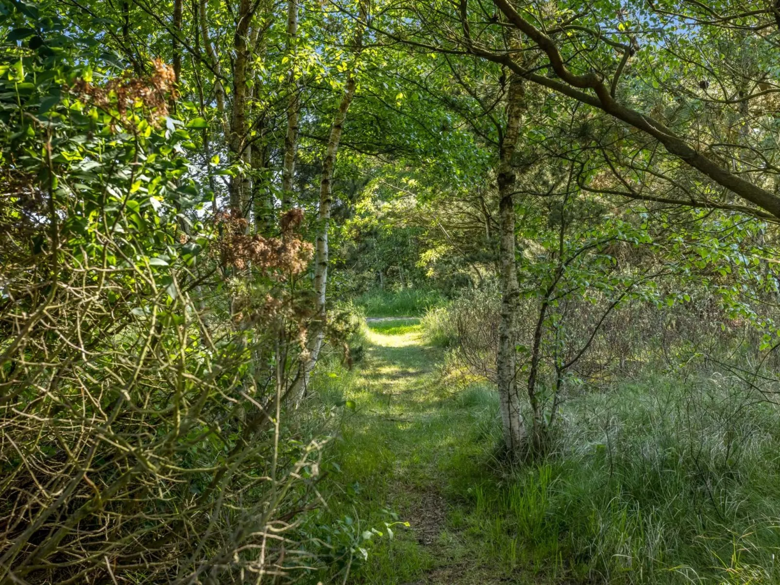 "Einette" - 100m from the sea-Outside