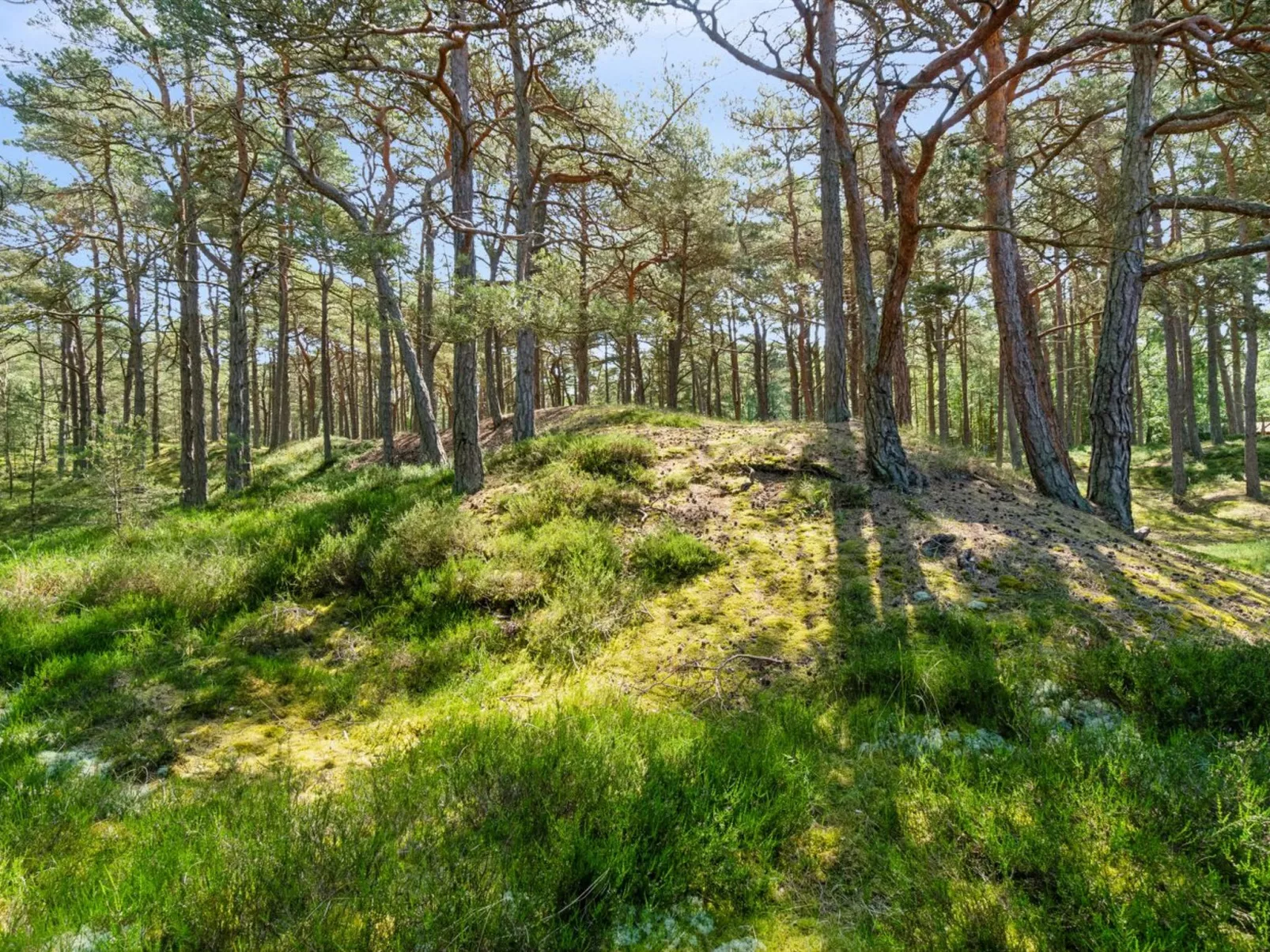 "Bothilda" - 950m from the sea-Dehors