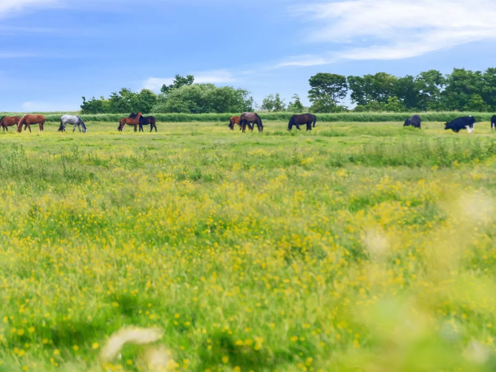"Janin" - 400m from the sea-Dehors