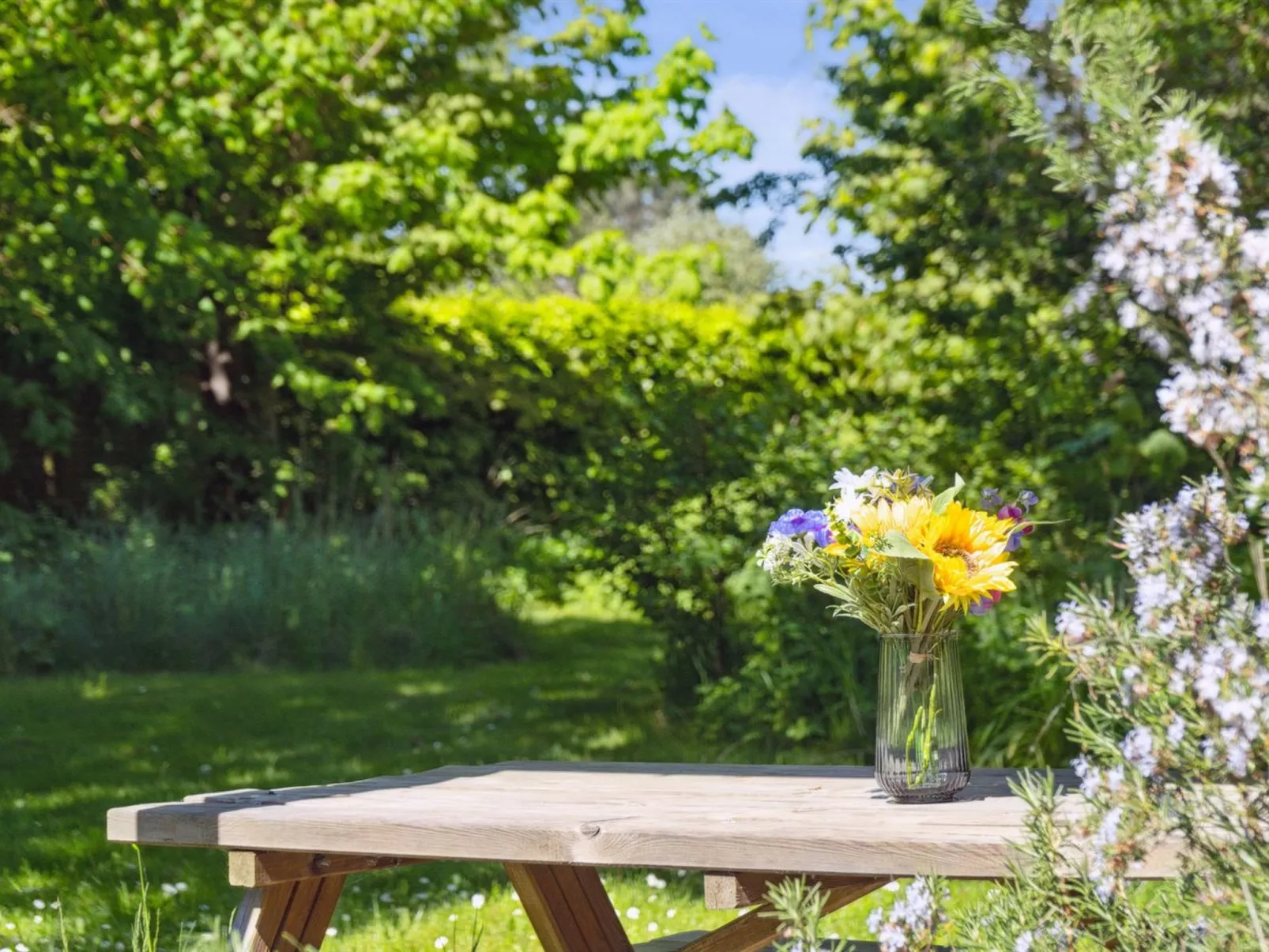 "Deljan" - 200m from the sea-Outside