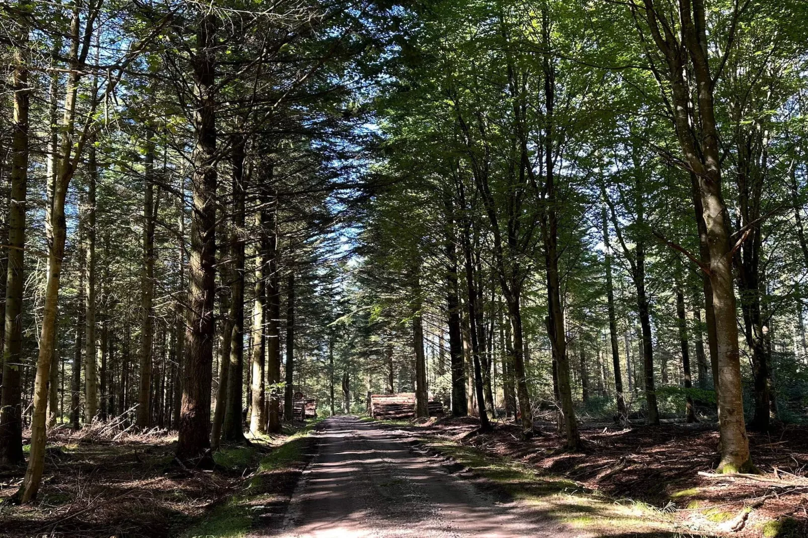 4 Personen Ferienhaus in Thisted-By Traum-Nicht zugeordnet