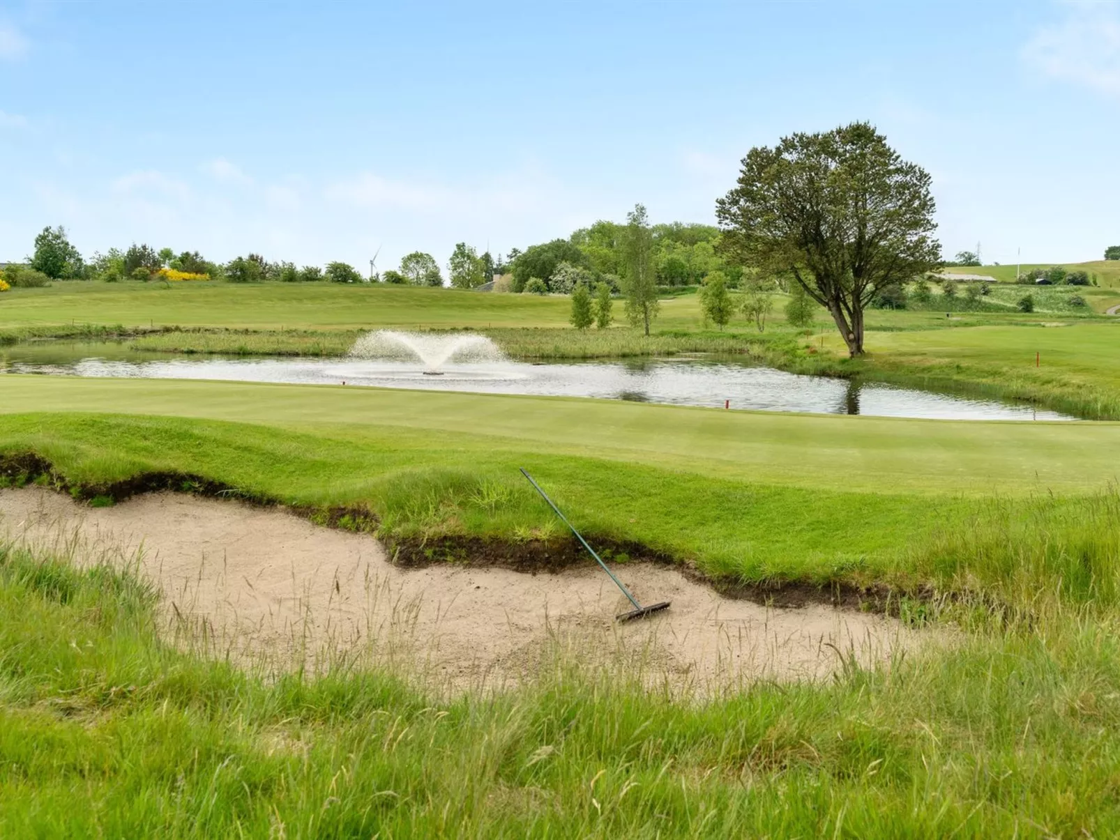 "Erly" - 18km to the fjord-Outside