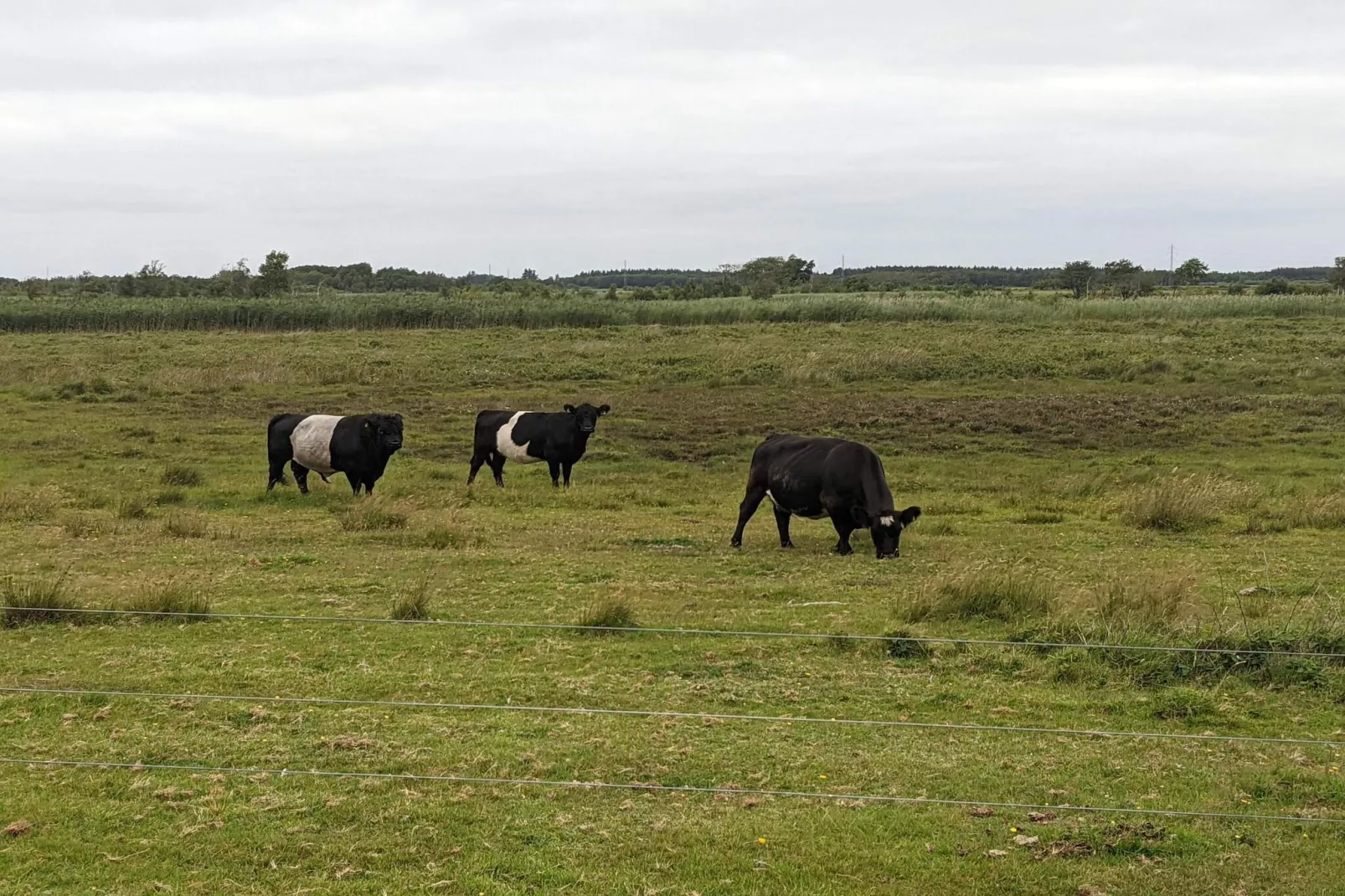 Maison de vacances pour 4 a Bredebro-By Traum-Non tagué