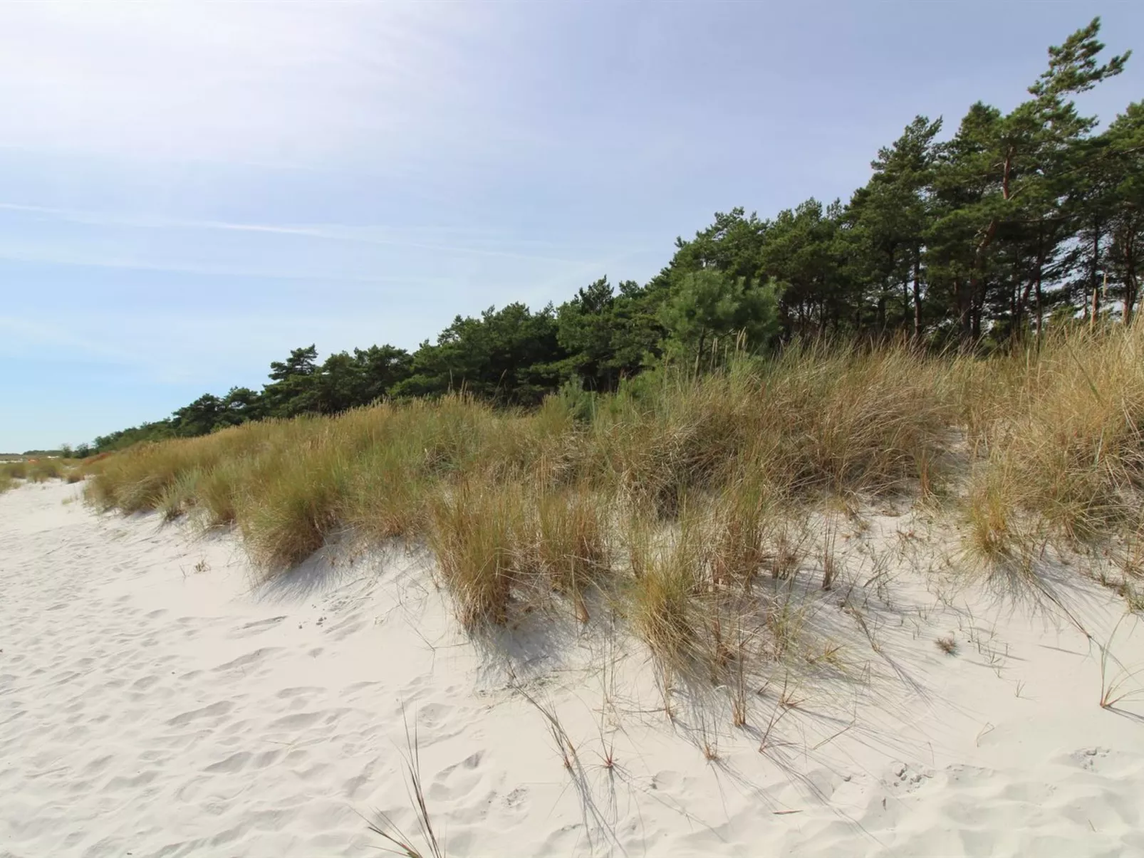 "Auvo" - 200m from the sea-Draußen